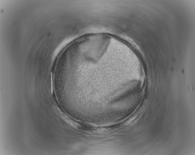 X0000074291175200609151909