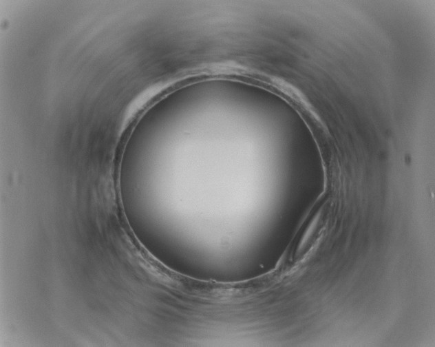 X0000074291176200609151909