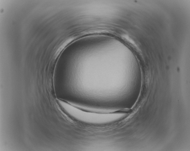 X0000074291177200609151909