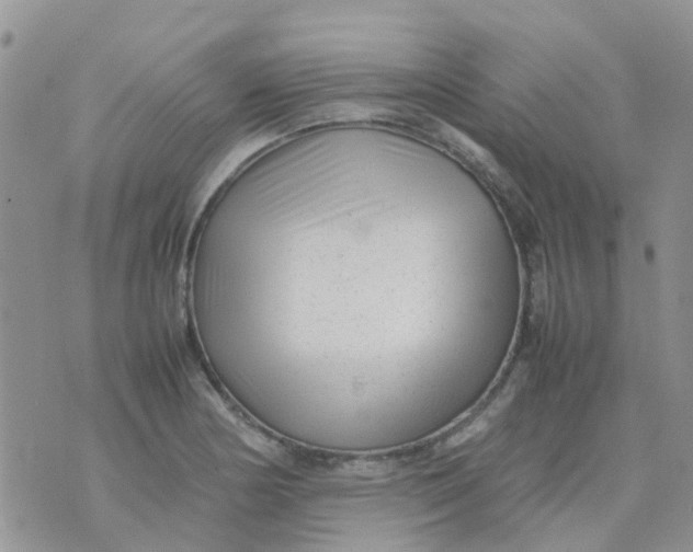 X0000074291178200609151909