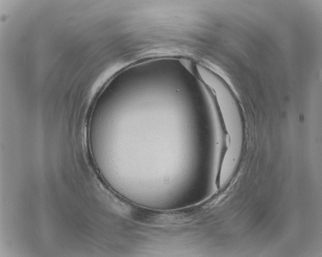 X0000074291179200609151909