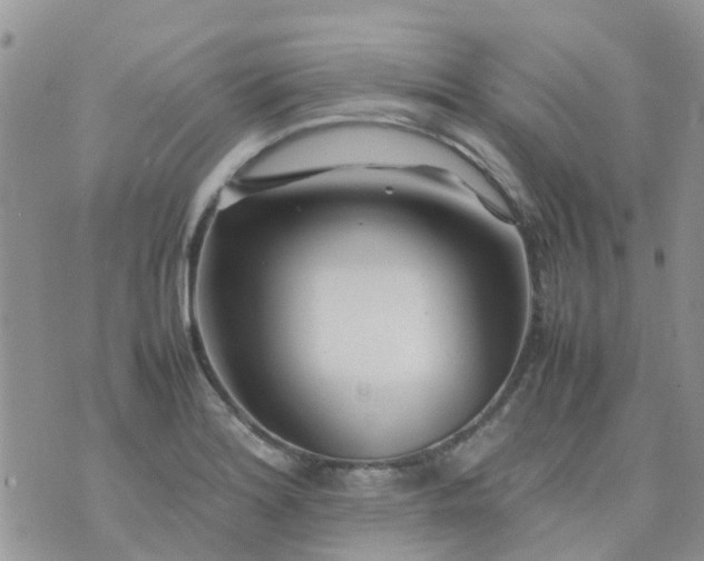 X0000074291180200609151909