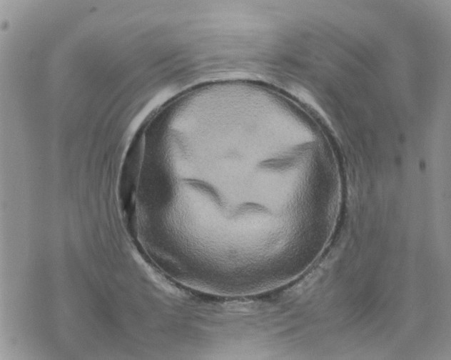 X0000074291181200609151909