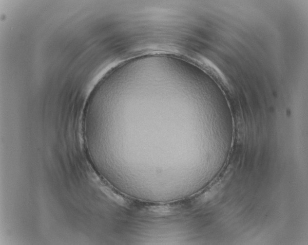 X0000074291182200609151909