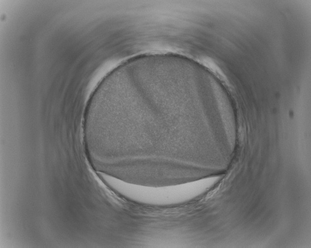 X0000074291183200609151909