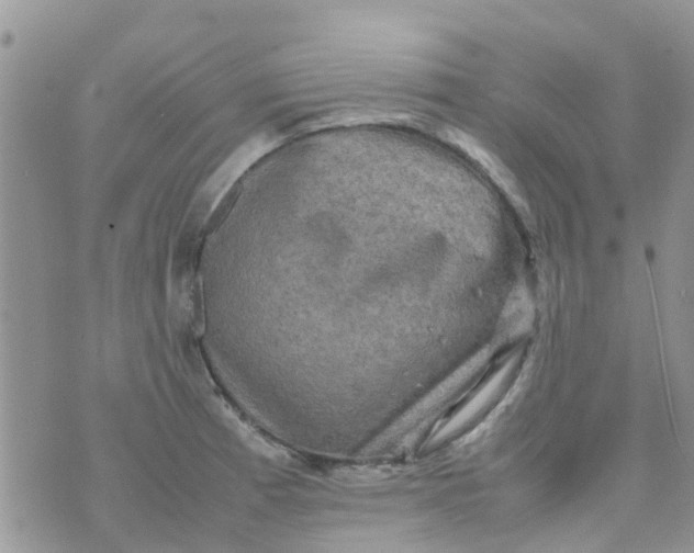 X0000074291185200609151909