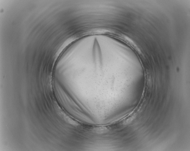 X0000074291186200609151909