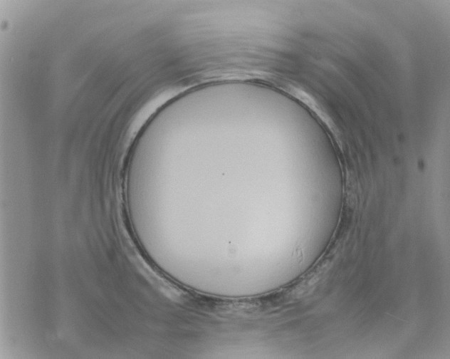 X0000074291187200609151909