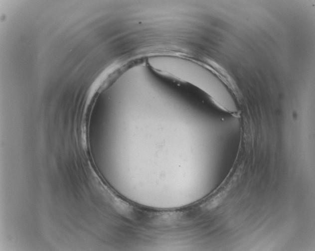 X0000074291188200609151909