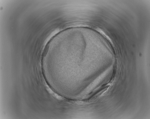 X0000074291189200609151909