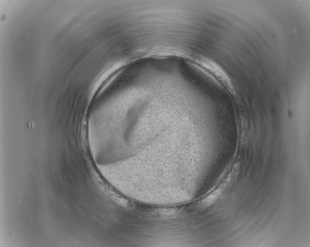 X0000074291190200609151909