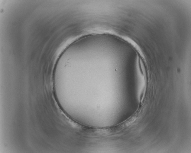 X0000074291191200609151909