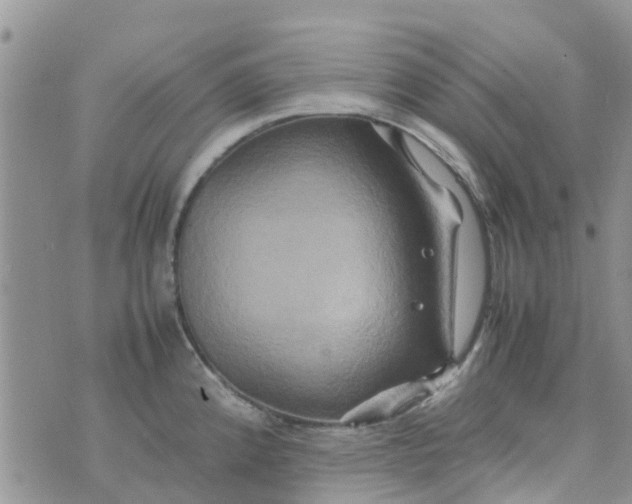 X0000074291192200609151909