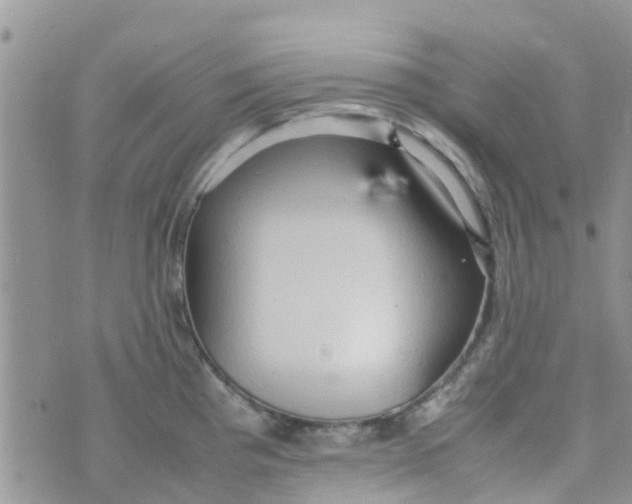 X0000074291193200609151909