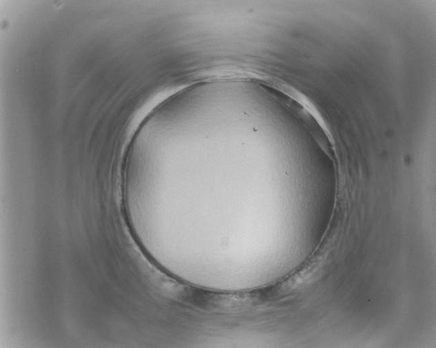 X0000074291195200609151909