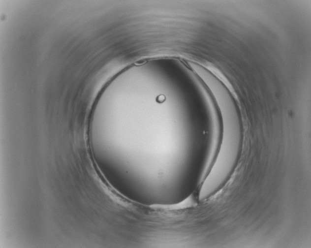 X0000074291197200609151909