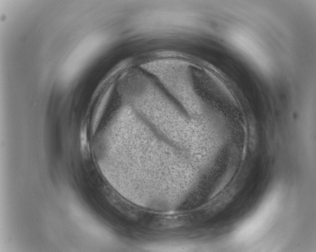 X0000074291198200609151909