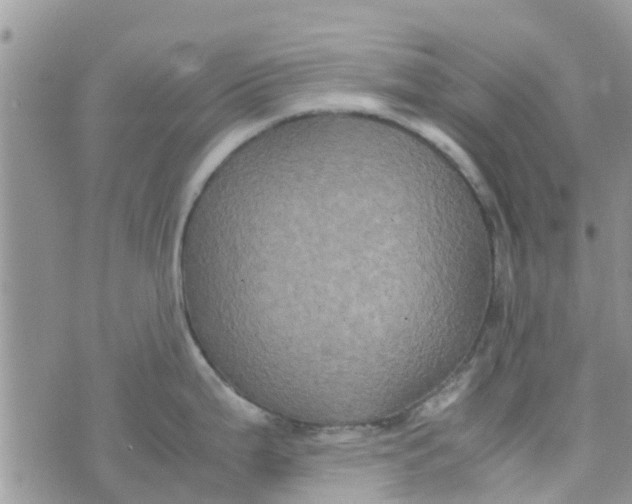 X0000074291199200609151909