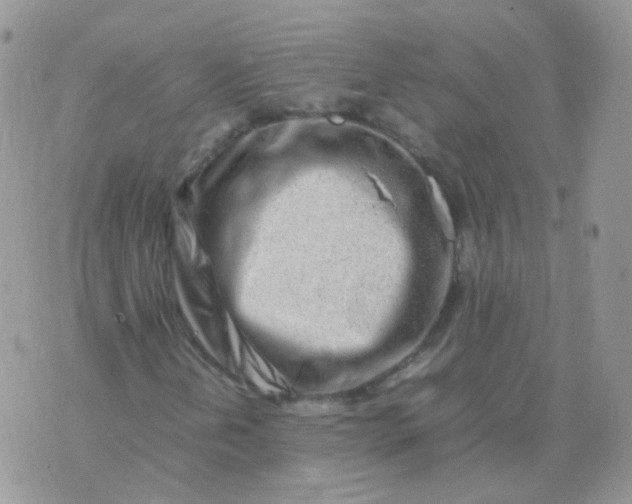 X0000074291202200609151908