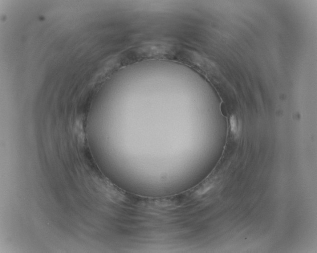 X0000074291203200609151908