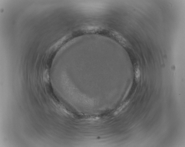 X0000074291204200609151908