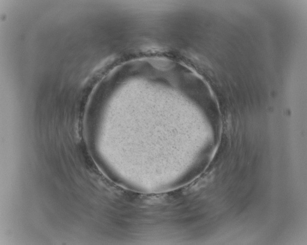 X0000074291205200609151908