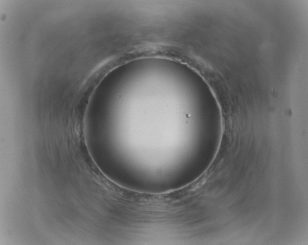 X0000074291206200609151908