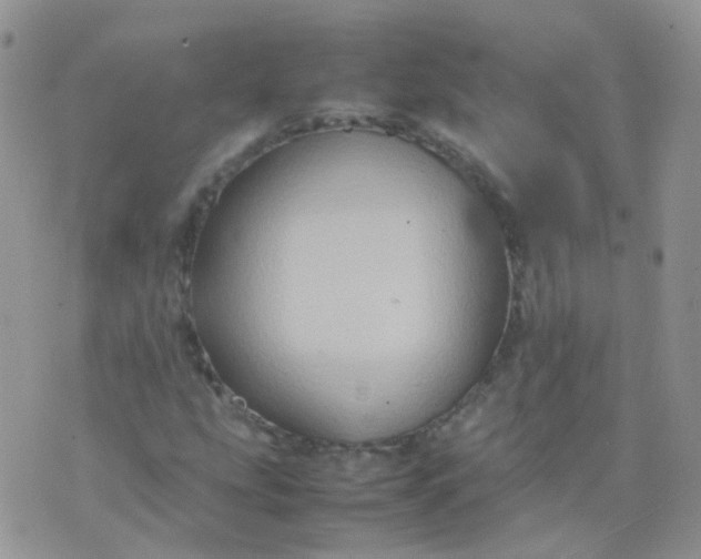 X0000074291207200609151908