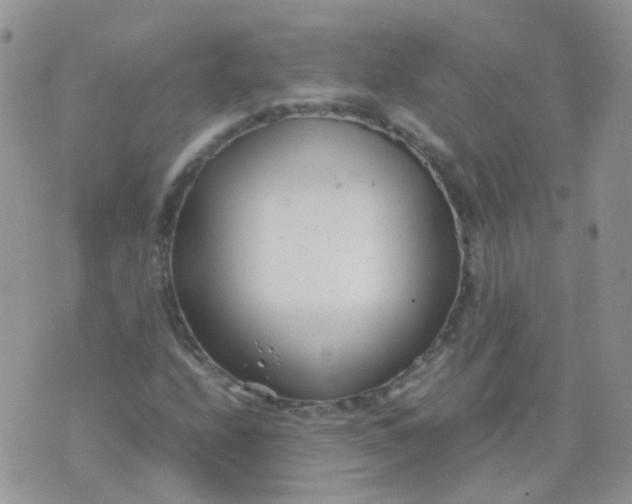 X0000074291208200609151908