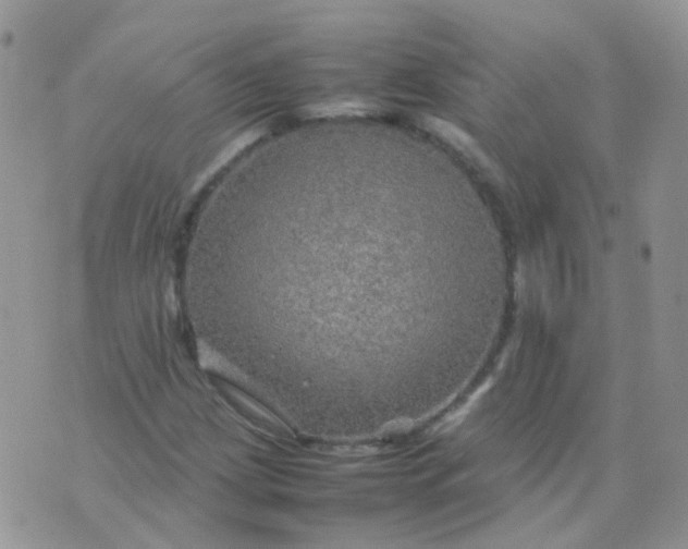 X0000074291209200609151908