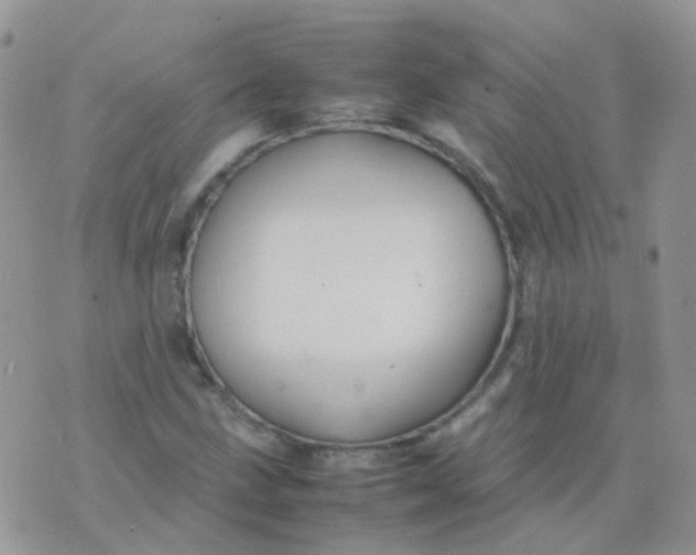 X0000074291211200609151908