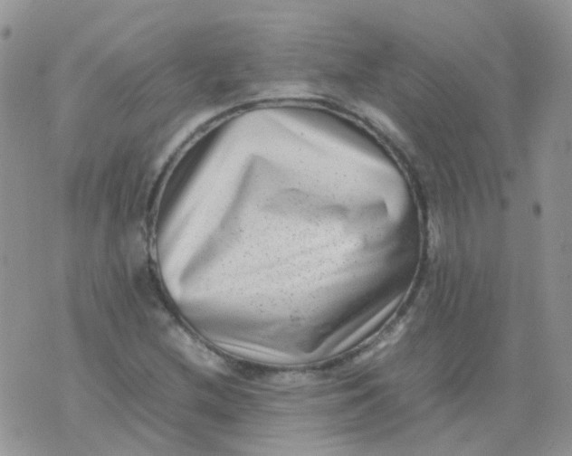 X0000074291212200609151908