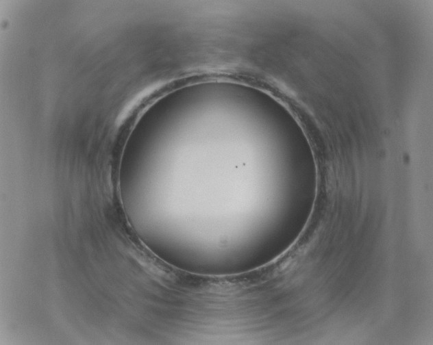 X0000074291214200609151908