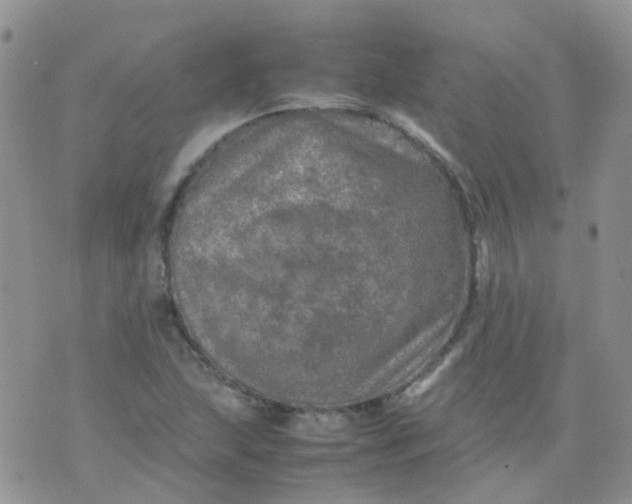 X0000074291215200609151908