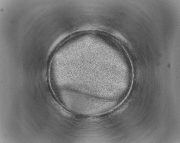 X0000074291216200609151908