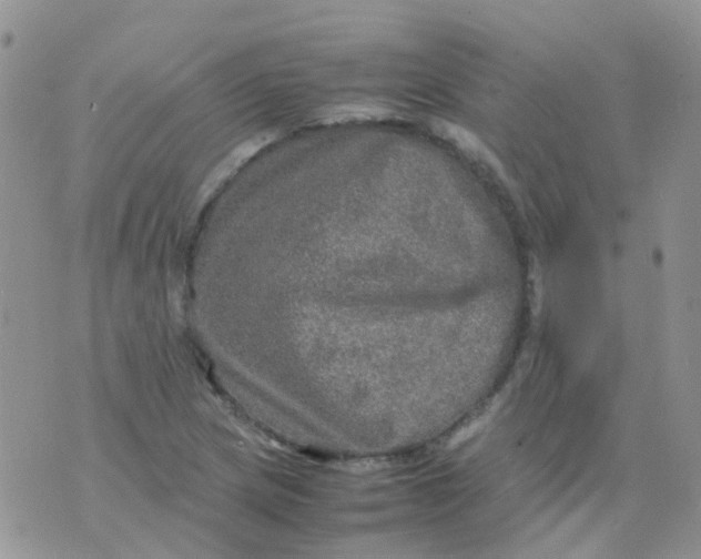 X0000074291217200609151908