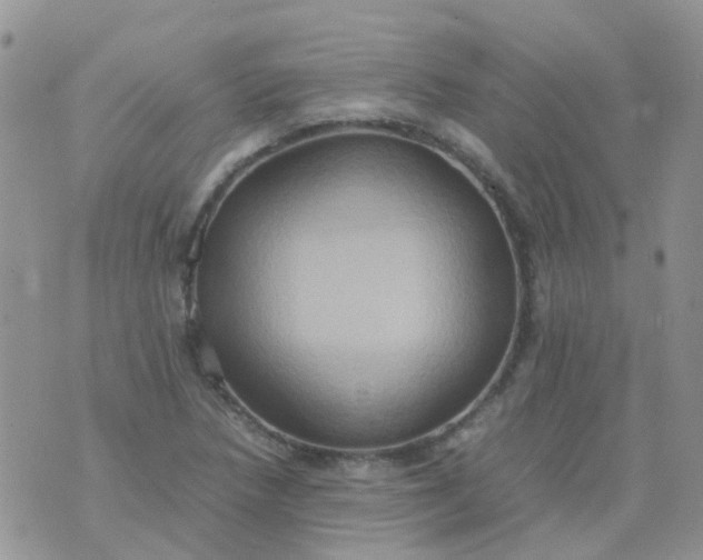 X0000074291218200609151908