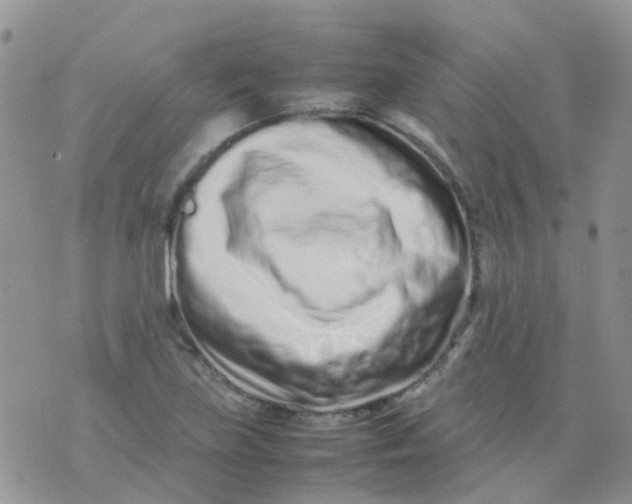 X0000074291219200609151908