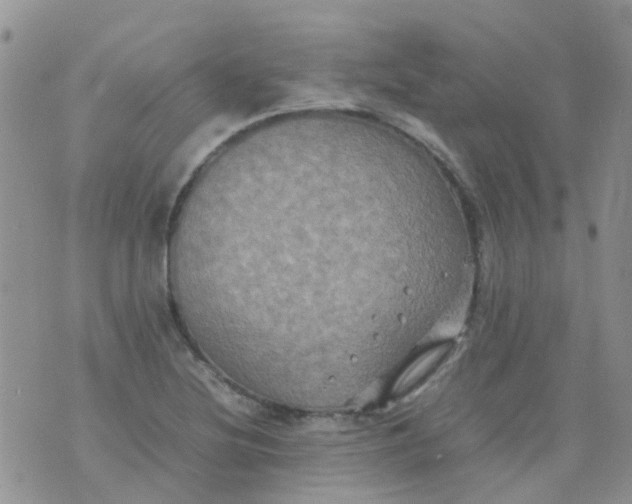 X0000074291220200609151908