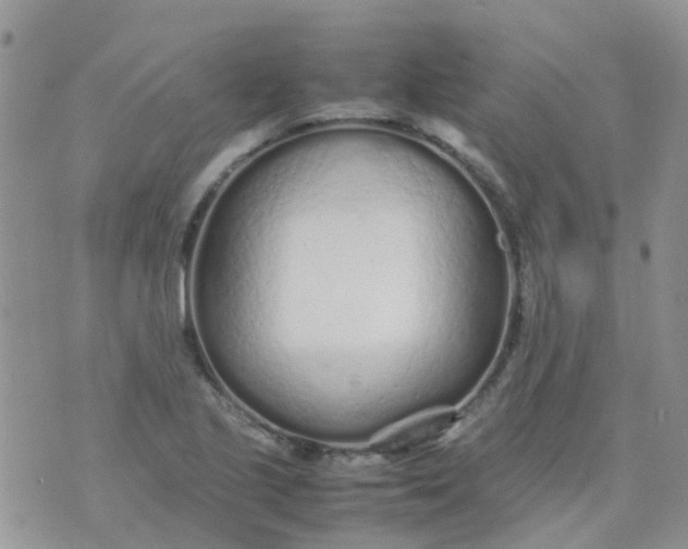 X0000074291221200609151908