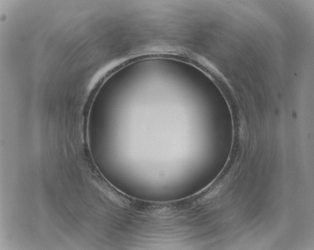 X0000074291222200609151908