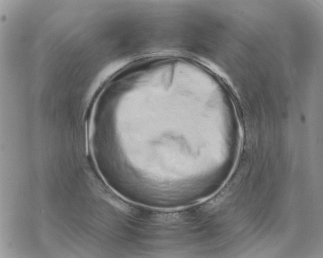 X0000074291223200609151908