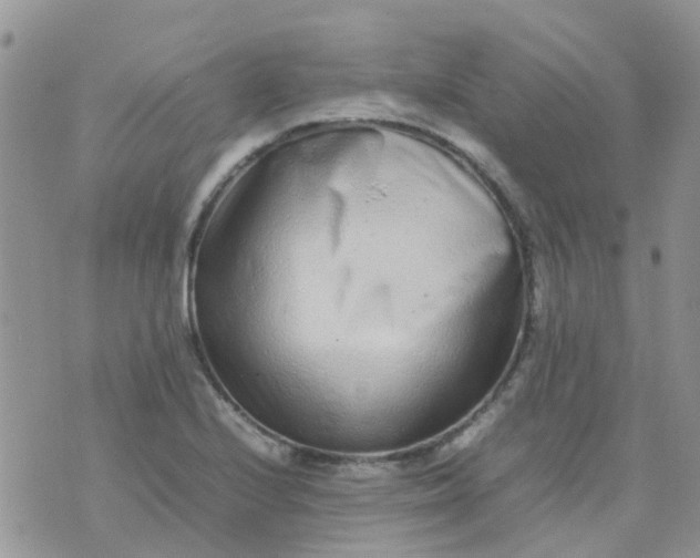 X0000074291224200609151908