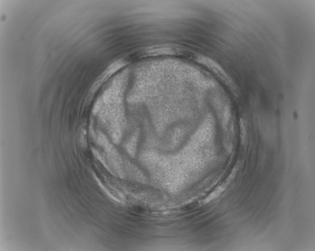 X0000074291225200609151908