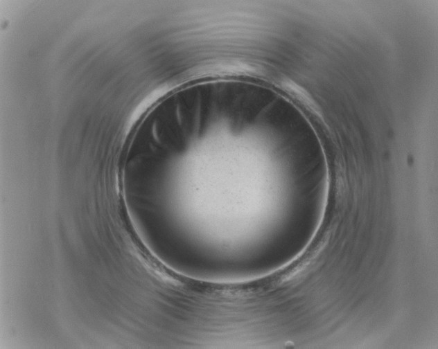 X0000074291226200609151908