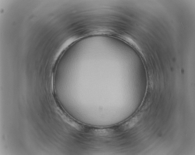 X0000074291227200609151908