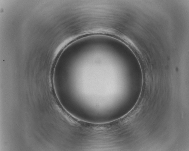 X0000074291230200609151908