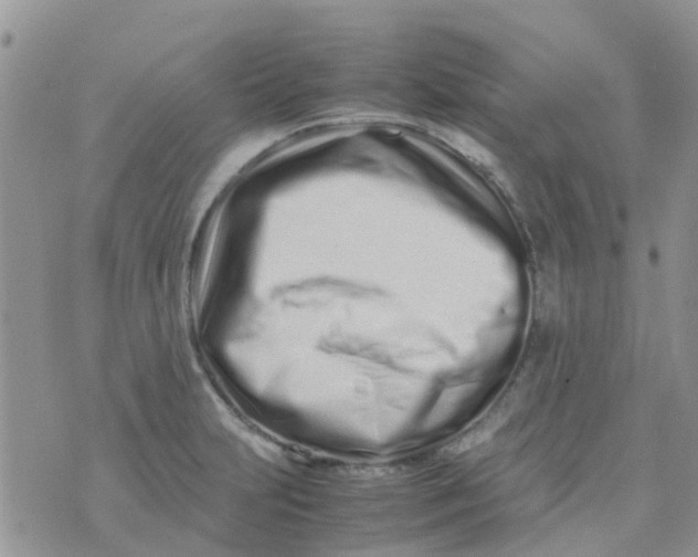 X0000074291231200609151909