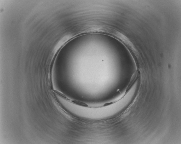 X0000074291234200609151909