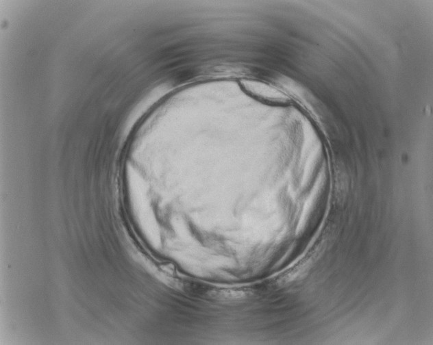 X0000074291235200609151909